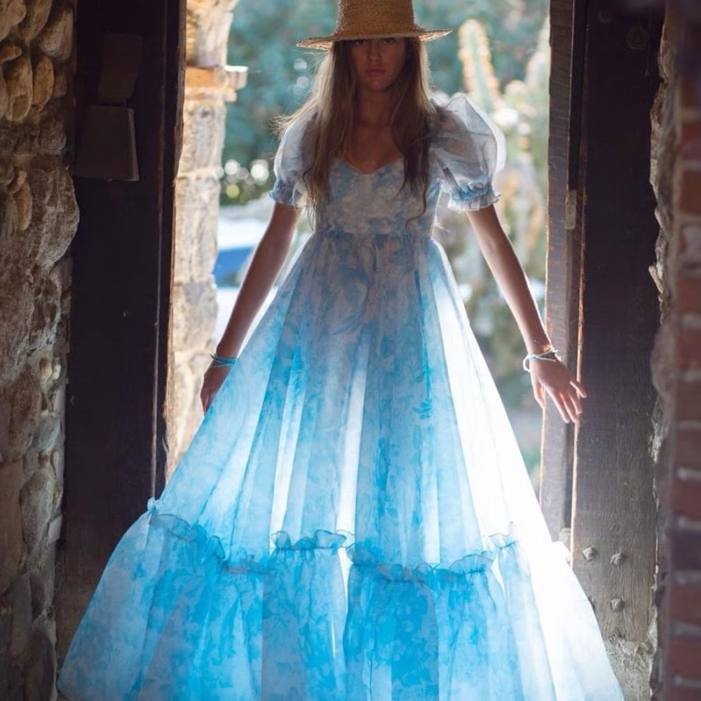 Selkie Blue Toile Floral Maxi Dress - Picture 2 of 6